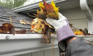 manual taking leaves from gutter