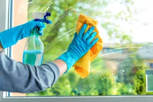Polishing window with a rag