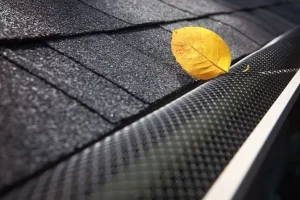 Leaf protection screen