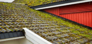 A sloped roof covered in mossy tiles is shown. The roof consists of dark-colored tiles, partially covered in green moss. A red wooden wall and part of a white wall are visible beneath the roof.