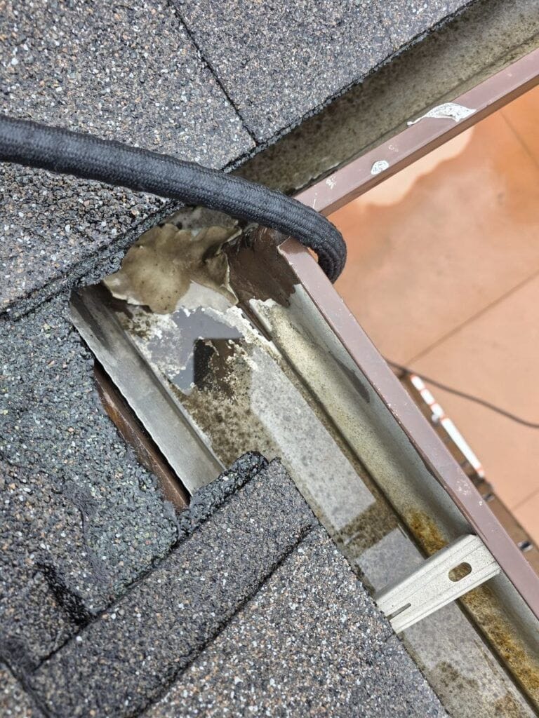 Raccoons Chewed Through the Shingles. The Gutters Did the Rest.