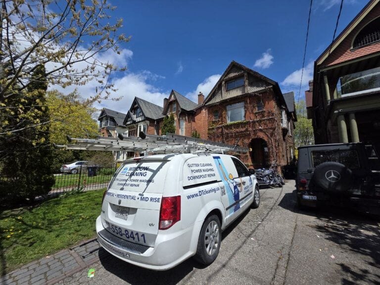 Window Cleaning Downtown Toronto: A Heritage Home With Ivy and Pigeon Damage