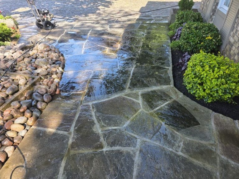 Eavestrough Cleaning Mississauga: Mineola Case Study