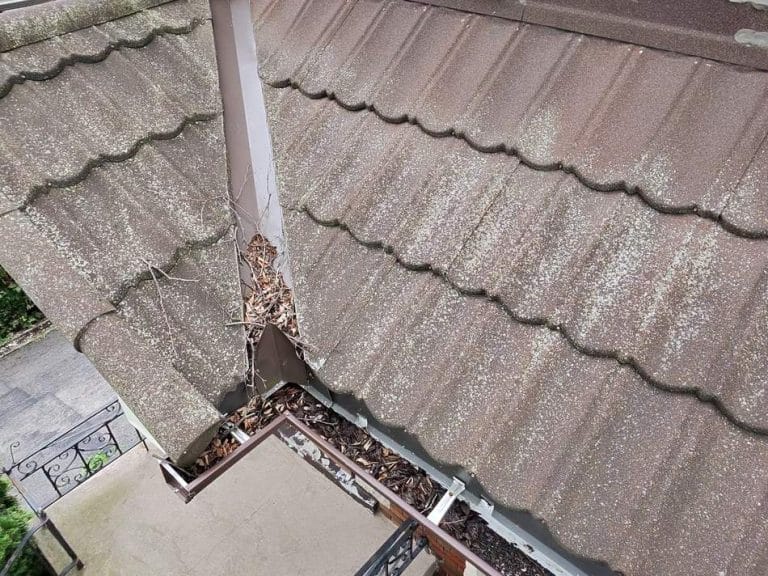 Eavestrough Slope and Ice on Steps: $200 Etobicoke Case