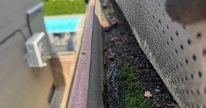 Gutter guard cleaning Toronto: moss and wet sediment inside a North York eavestrough under a perforated guard