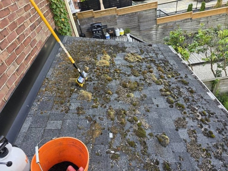 Do Gutter Guards Work? A Real Toronto Case (2026)