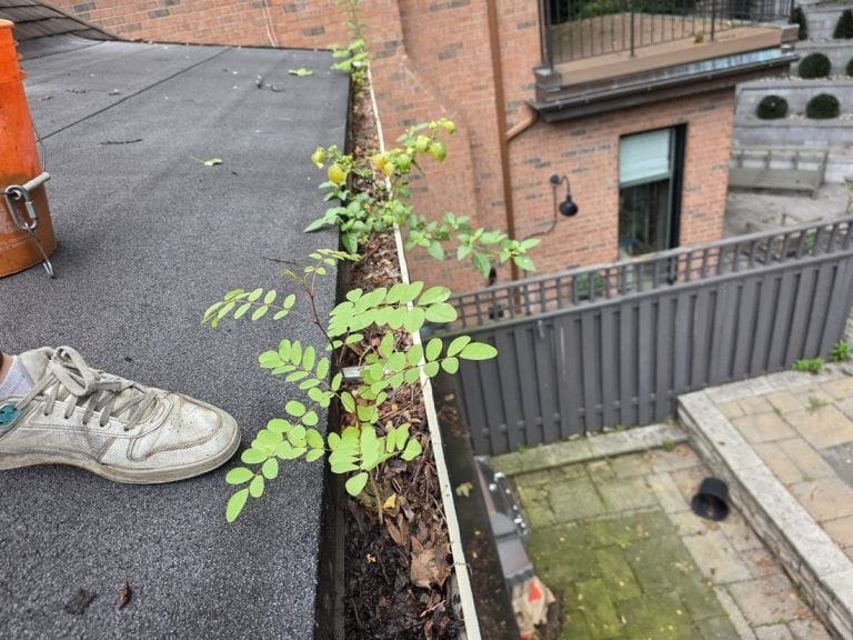 How Long Do Gutter Guards Last? A Toronto Replacement (2026)