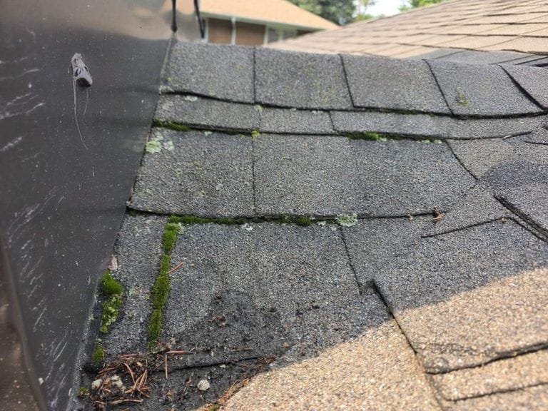 Roof Moss Removal Toronto: Real $110 North York Job (2026)