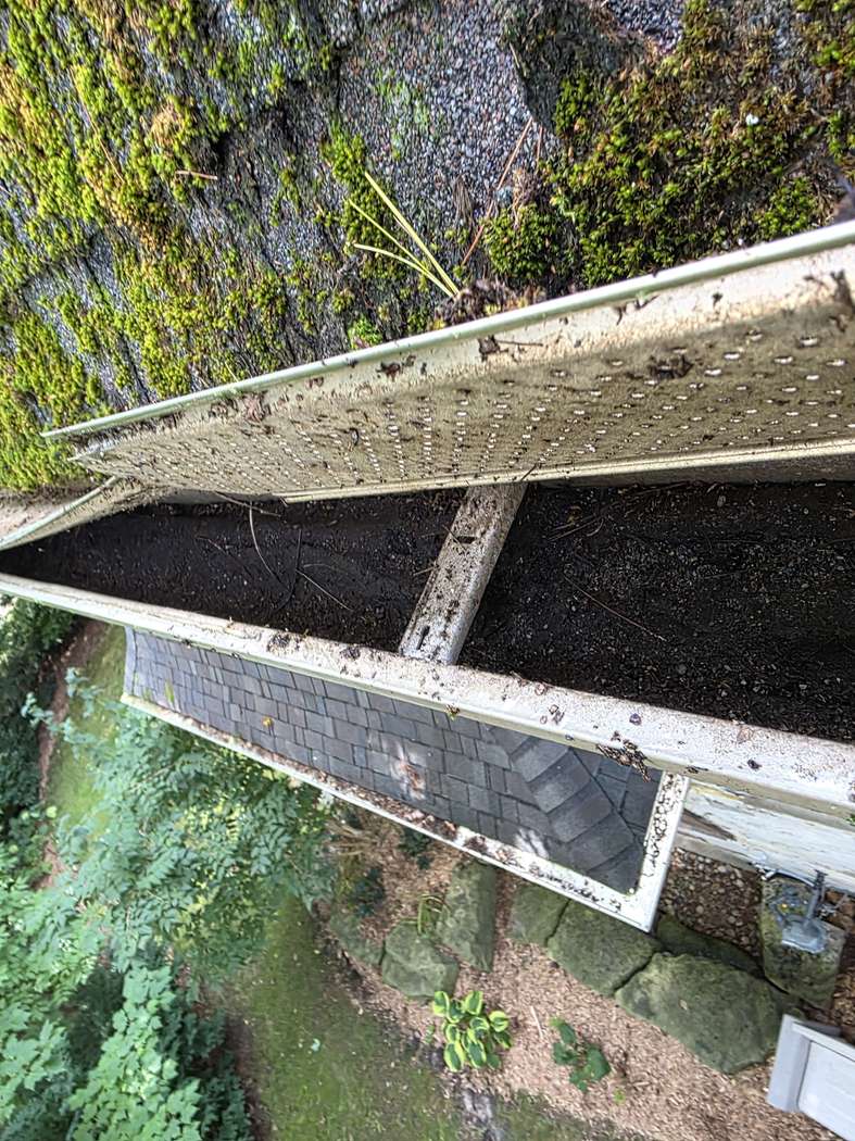 Leaf guard lifted over a packed trough, Mississauga Gutter guard cleaning Mississauga: a leaf guard propped up over a trough full of dark sediment, heavy moss on the shingles above