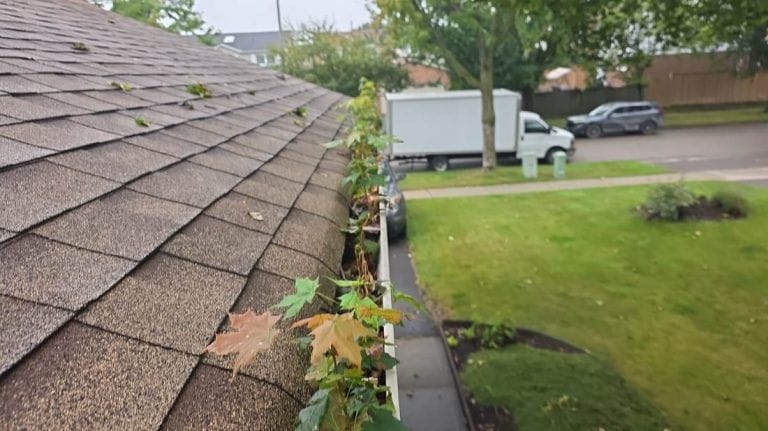 Eavestrough Cleaning Mississauga: A Downspout in Concrete