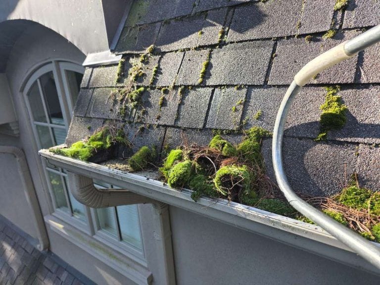 Gutter Guard Cleaning Mississauga: Moss Grew Through Guards