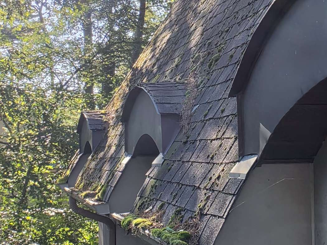 Moss on a partly shaded roof with arched dormers, Mississauga Steep shingle roof with arched dormers in Mississauga, moss along the shingle rows and at the gutter, trees beside the roof