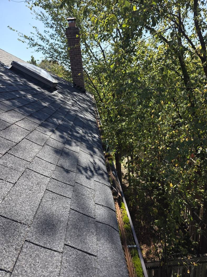 Moss in the old gutter guard by the chimney, North York The old brown mesh gutter guard with moss in it along the roof edge, a brick chimney and a skylight on the shingles, North York